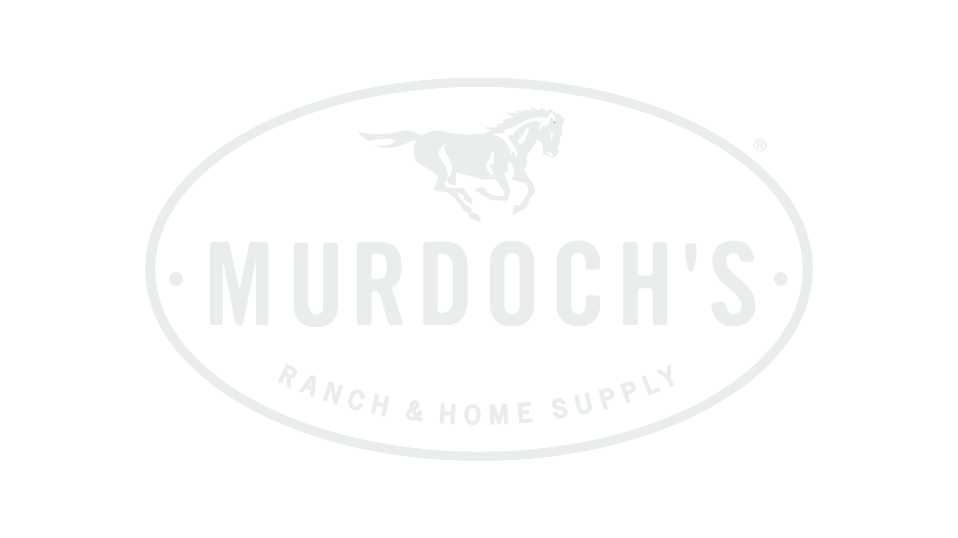 Murdoch's