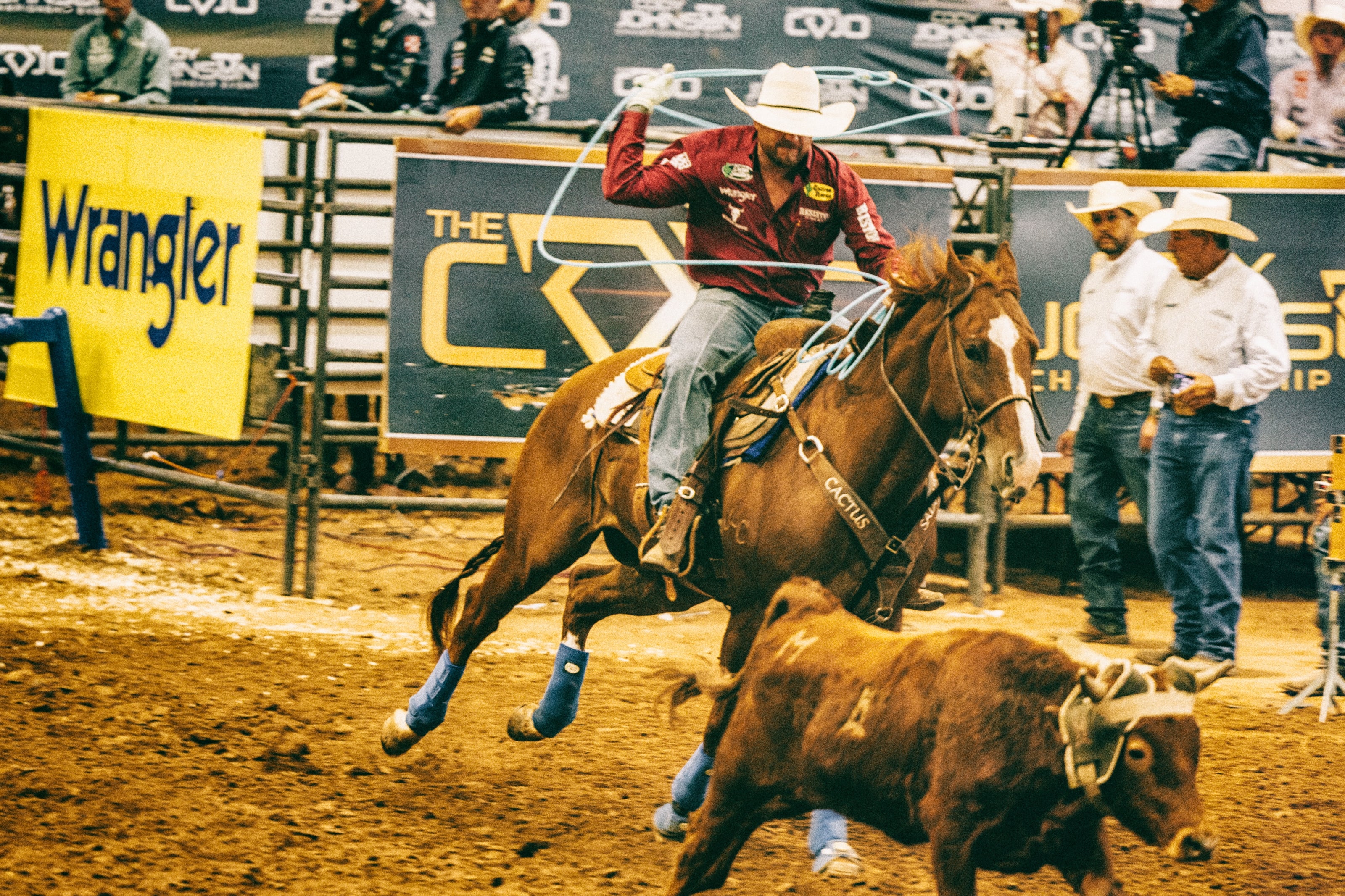 Wrangler riding a horse